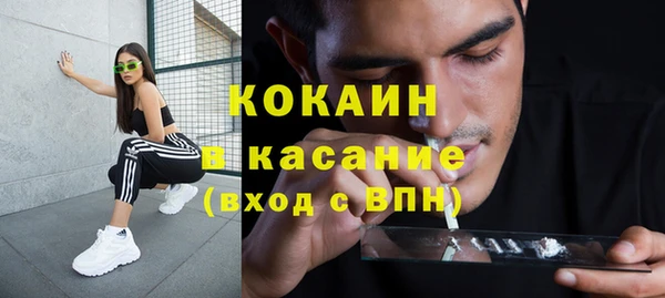 трава Аркадак