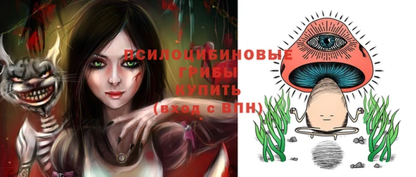 трава Аркадак