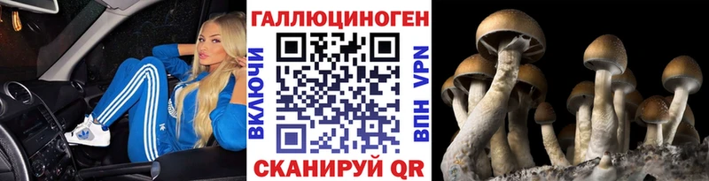 Галлюциногенные грибы Magic Shrooms  сколько стоит  Тимашёвск 