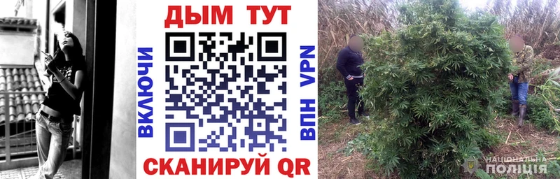 магазин    мориарти телеграм  Марихуана тримм  Тимашёвск 
